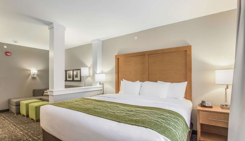 Suite, 1 King Bed with Sofa bed, Non Smoking