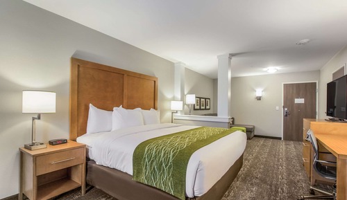 Suite, 1 King Bed with Sofa bed, Accessible, Non Smoking