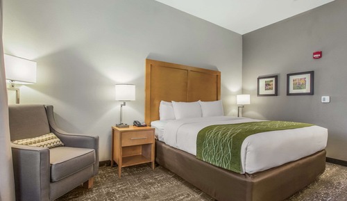 Room, 1 King Bed, Accessible, Non Smoking