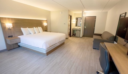 Standard Single Room, 1 King Bed, Non Smoking