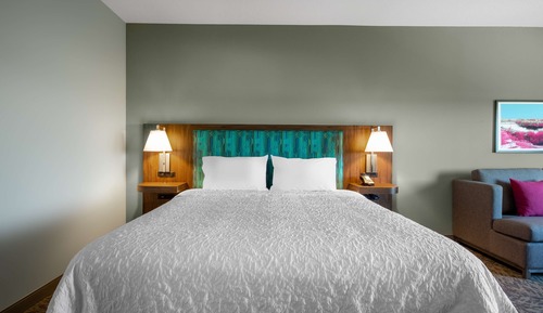 Room, 1 King Bed, Refrigerator & Microwave