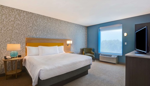 Room, 1 King Bed, Accessible (Mobility & Hearing)