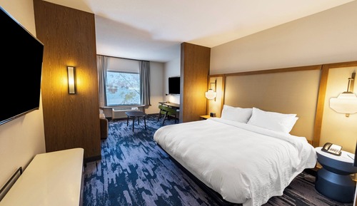 Suite, 1 King Bed with Sofa bed