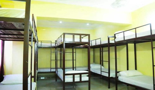 Classic Shared Dormitory, Mixed Dorm
