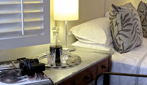 Safari Room