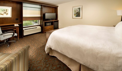 One King Bed, Non-Smoking, Accessible