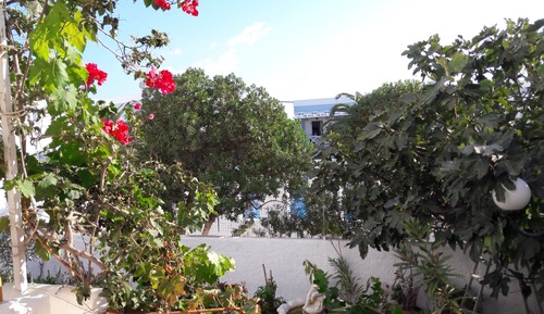 Double Room, Garden View, Ground Floor