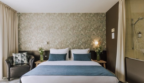 Premium Double/Twin Room with Terrace