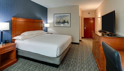 Deluxe Room, 1 King Bed, Refrigerator & Microwave