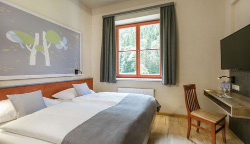 Basic Apartment, 2 Bedrooms