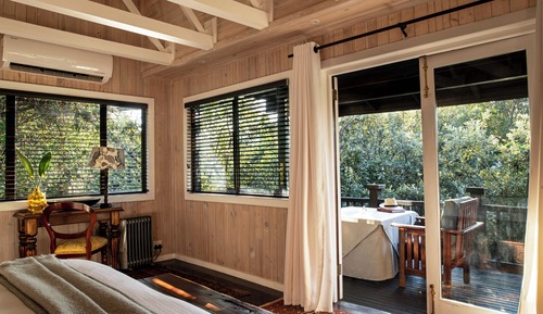 Forest Suite