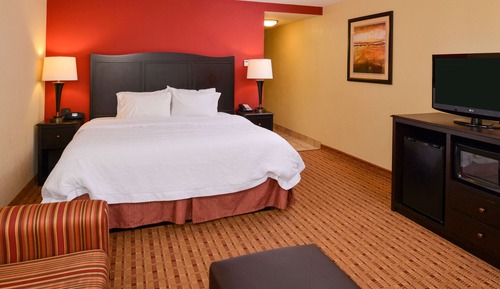 Room, 1 King Bed, Non Smoking (Study)
