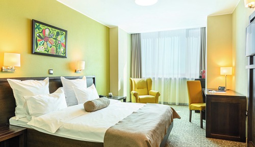 Business Double Room, 1 Queen Bed, River View