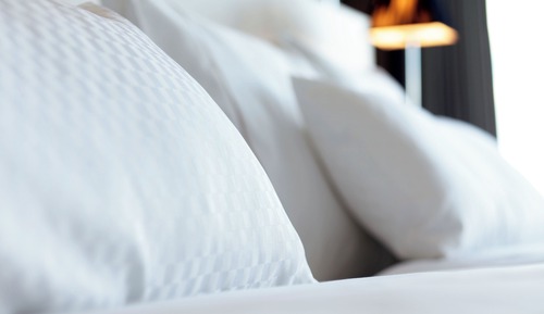 Room, 1 King Bed