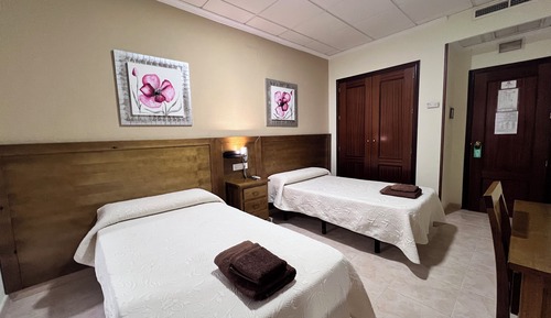 Standard Twin Room
