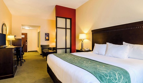 Suite, 1 King Bed with Sofa bed, Accessible, Non Smoking