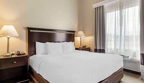 Suite, 1 King Bed with Sofa bed, Accessible, Non Smoking