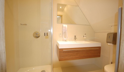 Standard Single Room (mini)