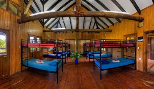 Dormitory Bed