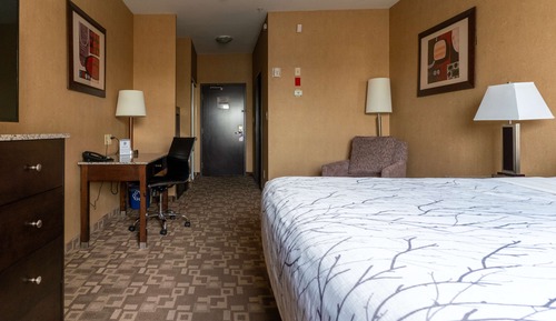 Executive Suite, 1 King Bed, Non Smoking, Refrigerator & Microwave (with Sofabed)