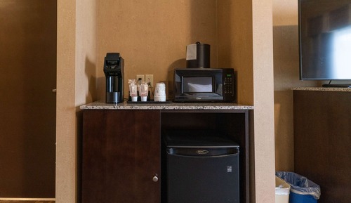 Standard Room, 1 King Bed, Accessible, Refrigerator & Microwave (Walk-in Shower)