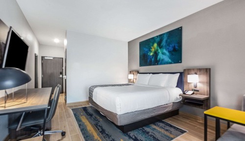 Business Room, 1 King Bed, Non Smoking