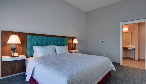 Room, 1 King Bed with Sofa bed, Accessible, Refrigerator & Microwave