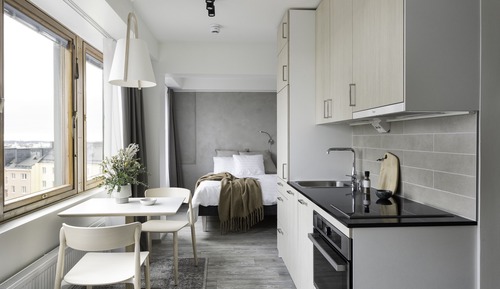 Spacious Studio with a view