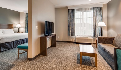 Suite, 1 King Bed with Sofa bed, Non Smoking, Kitchen (with Sofabed)