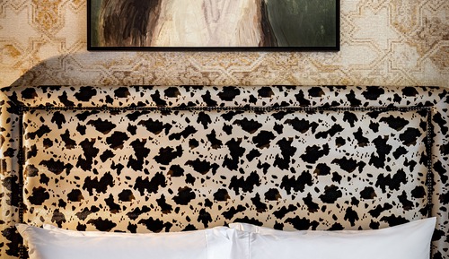 Suite, 1 King Bed with Sofa bed