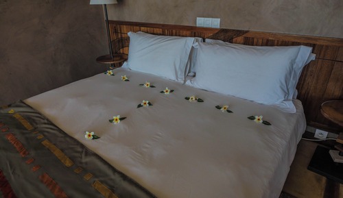 Economy Double Room (Electricity available 5-9 AM  6-10 PM)