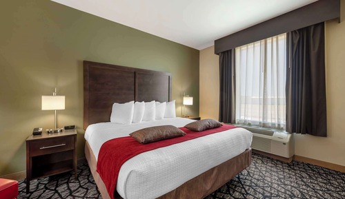 Standard Room, 1 King Bed, Non Smoking, Refrigerator & Microwave