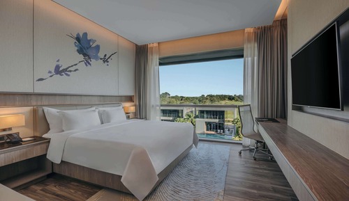 Deluxe Room, 1 King Bed, Pool View (Laguna)
