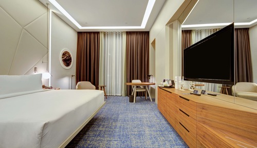Family Room, 1 King Bed