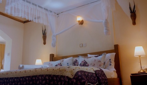 Family Studio Suite