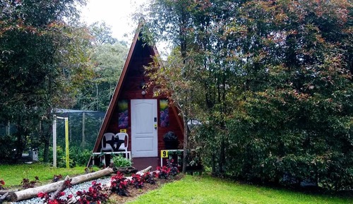 Economy Chalet
