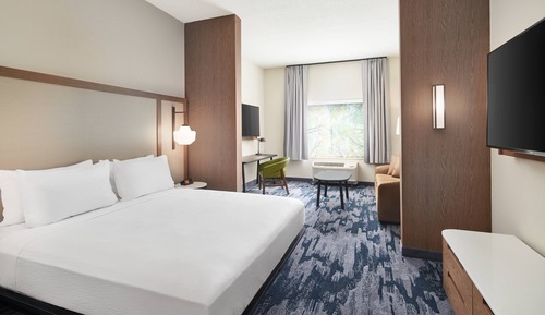 Suite, 1 King Bed with Sofa bed (Hearing Accessible)