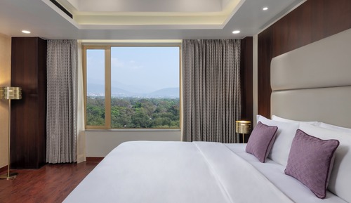 Premium Suite