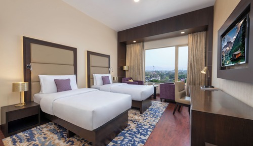 Deluxe Room (Twin Bed)