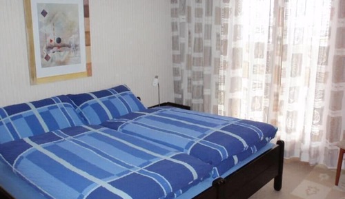 Basic Apartment
