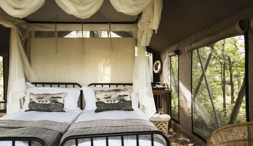 Luxury Tent, 1 Bedroom
