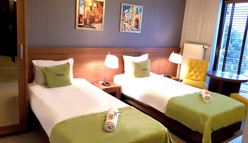 Deluxe Double or Twin Room