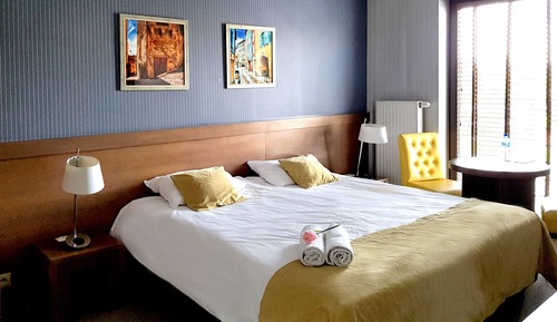 Deluxe Double or Twin Room