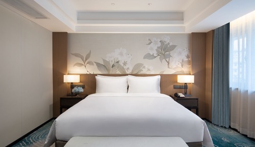 Deluxe Premier King Room