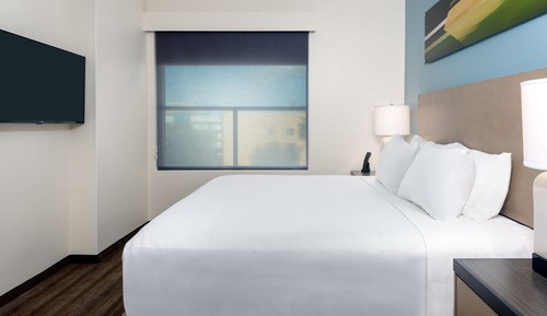 Suite, 1 Bedroom (Specialty)