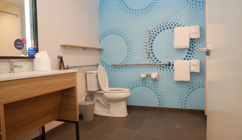 Room, 1 King Bed, Accessible (Roll-In Shower)