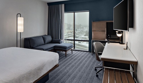 Room, 1 King Bed with Sofa bed (Hearing Accessible)
