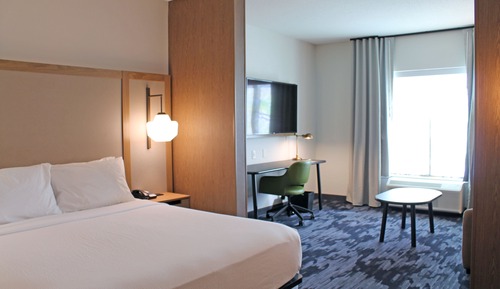 Suite, 1 King Bed with Sofa bed