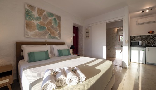 Superior Queen Apartment