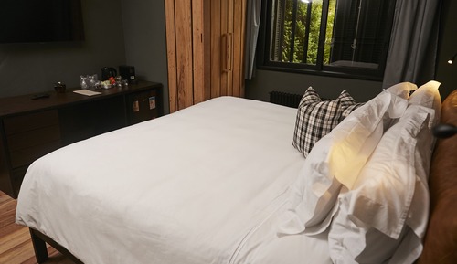 Premier Double or Twin Room